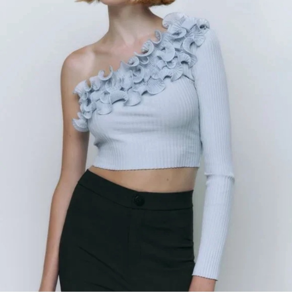 Zara crop one sleeve top with tulle
